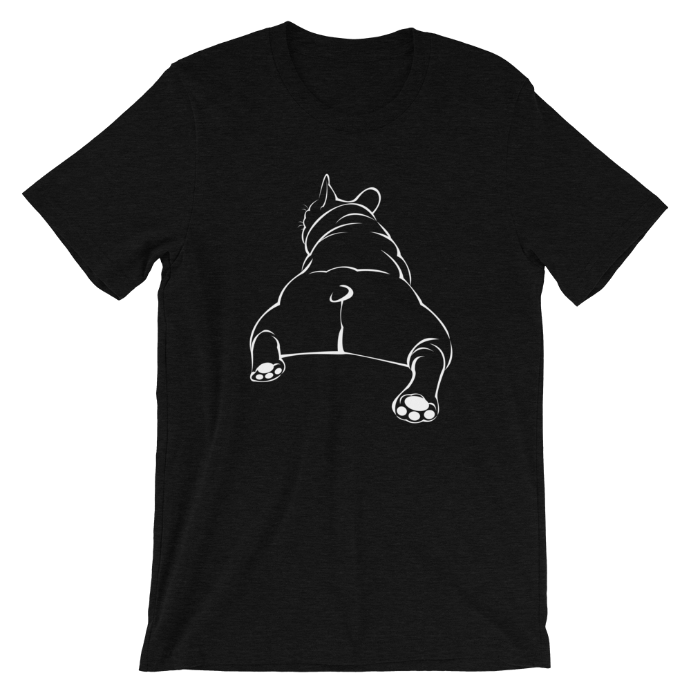 Total Top-Swish Embassy