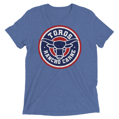 Brr It's Cold in Here (Triblend)-Triblend T-Shirt-Swish Embassy