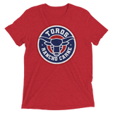 Brr It's Cold in Here (Triblend)-Triblend T-Shirt-Swish Embassy