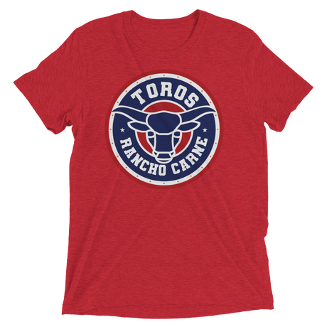 Brr It's Cold in Here (Triblend)-Triblend T-Shirt-Swish Embassy