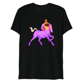 Centaur of Attention (Triblend)-Triblend T-Shirt-Swish Embassy