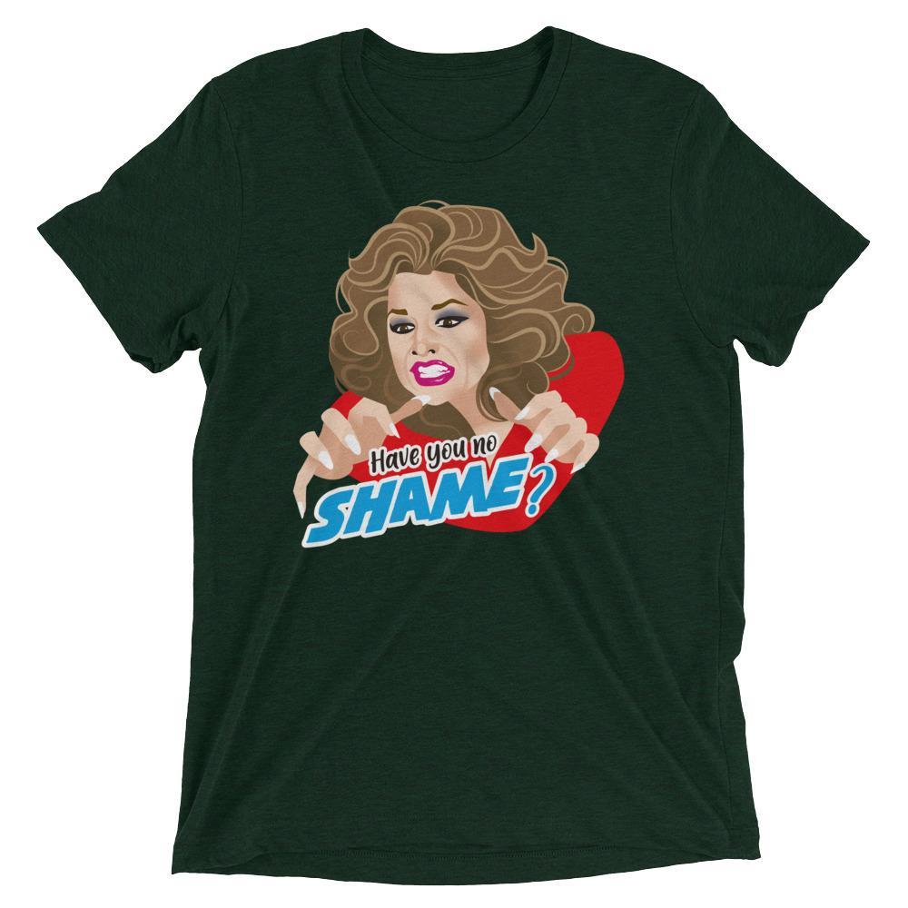 Have You No Shame? (Triblend)-Triblend T-Shirt-Swish Embassy