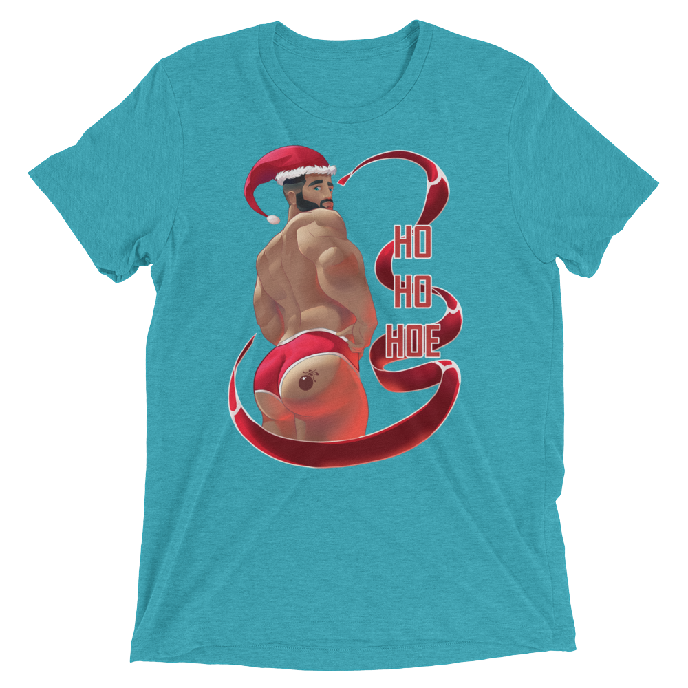 Ho Ho Hoe (Triblend)-Triblend T-Shirt-Swish Embassy