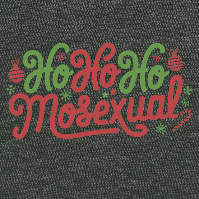 Ho Ho Homosexual-Christmas T-Shirts-Swish Embassy