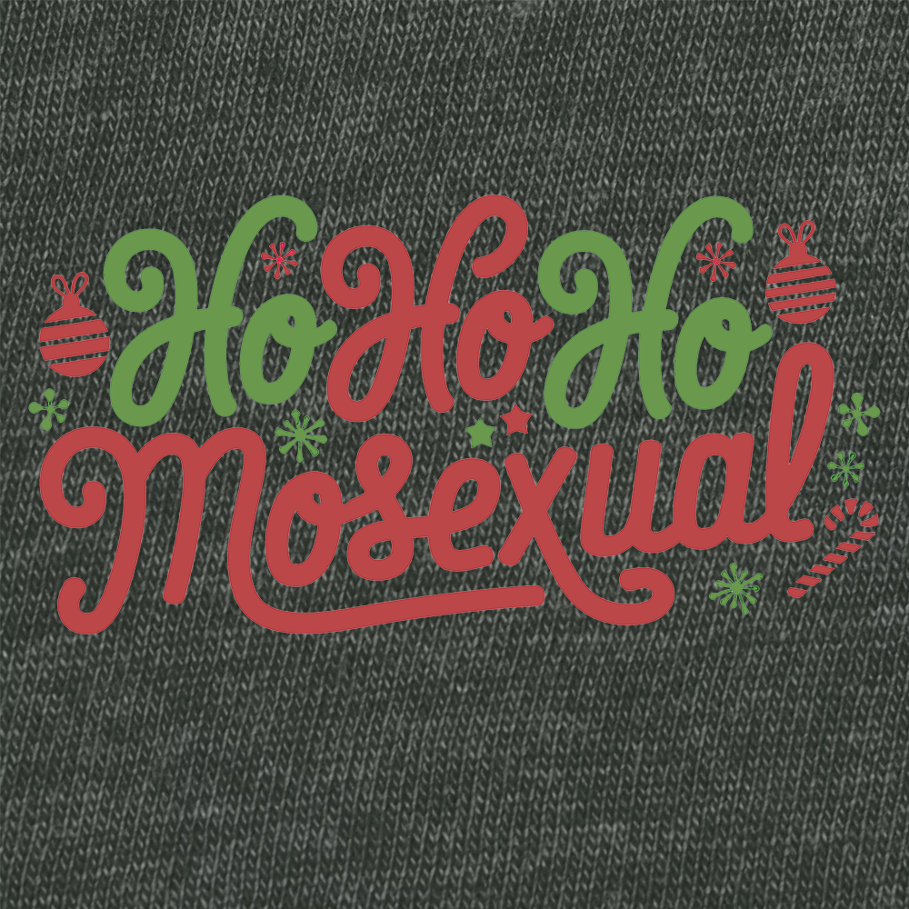 Ho Ho Homosexual-T-Shirts-Swish Embassy