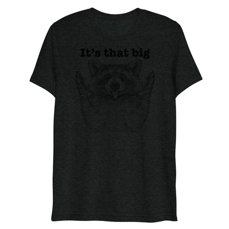 It's that big (Triblend)-Triblend T-Shirt-Swish Embassy