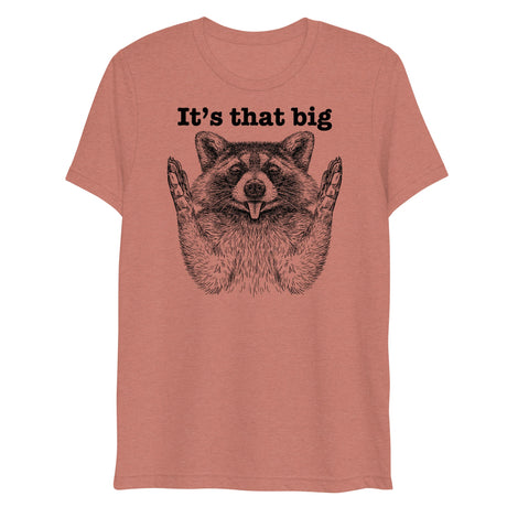 It's that big (Triblend)-Triblend T-Shirt-Swish Embassy