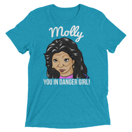 Molly You in Danger (Triblend)-Triblend T-Shirt-Swish Embassy