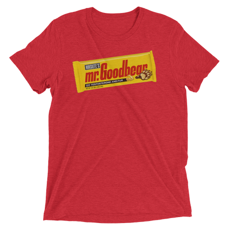 Mr. Goodbear (Triblend)-Triblend T-Shirt-Swish Embassy