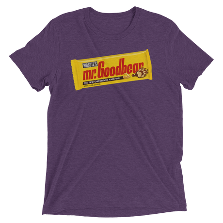 Mr. Goodbear (Triblend)-Triblend T-Shirt-Swish Embassy