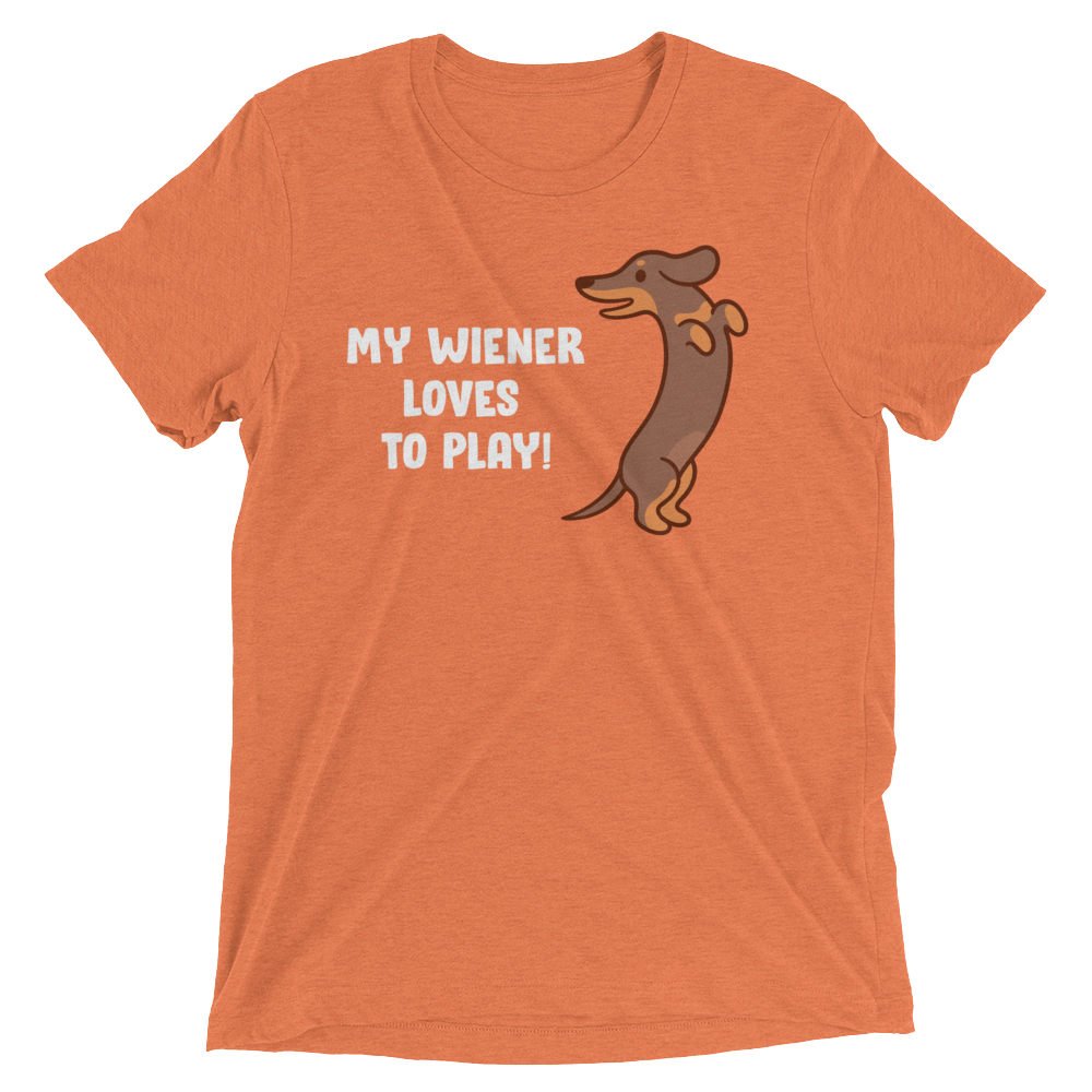 Playful Wiener (Triblend)-Triblend T-Shirt-Swish Embassy