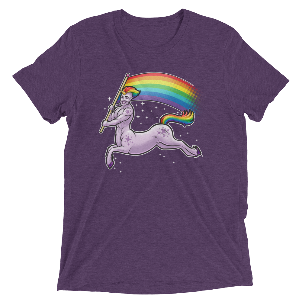 Pride Centaur (Triblend)-Triblend T-Shirt-Swish Embassy