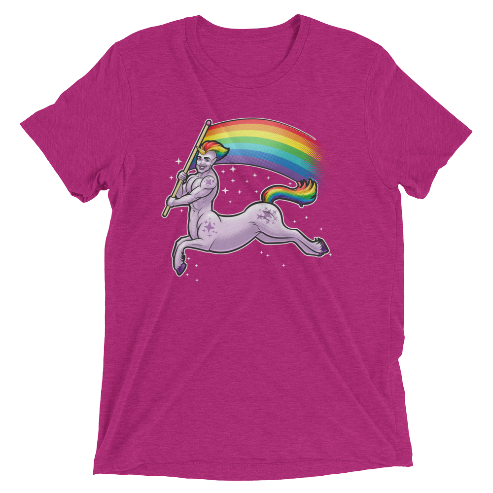 Pride Centaur (Triblend)-Triblend T-Shirt-Swish Embassy