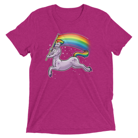 Pride Centaur (Triblend)-Triblend T-Shirt-Swish Embassy