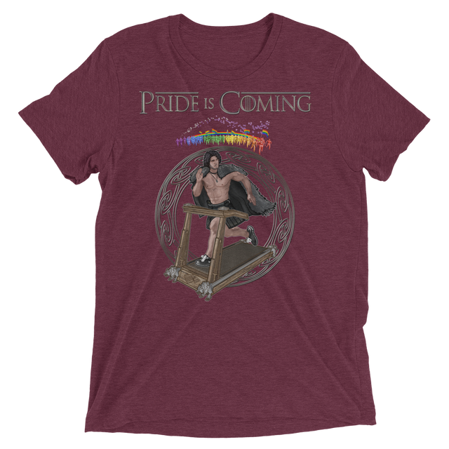 Pride is Coming (Triblend)-Triblend T-Shirt-Swish Embassy