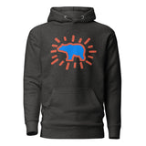 Radiant Bear (Hoodie)-Hoodie-Swish Embassy