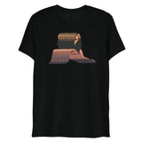 Rolling on a Rainbow (Triblend)-Triblend T-Shirt-Swish Embassy