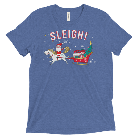 Sleigh! (Triblend)-Triblend T-Shirt-Swish Embassy