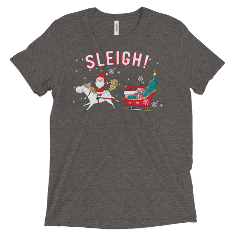 Sleigh! (Triblend)-Triblend T-Shirt-Swish Embassy