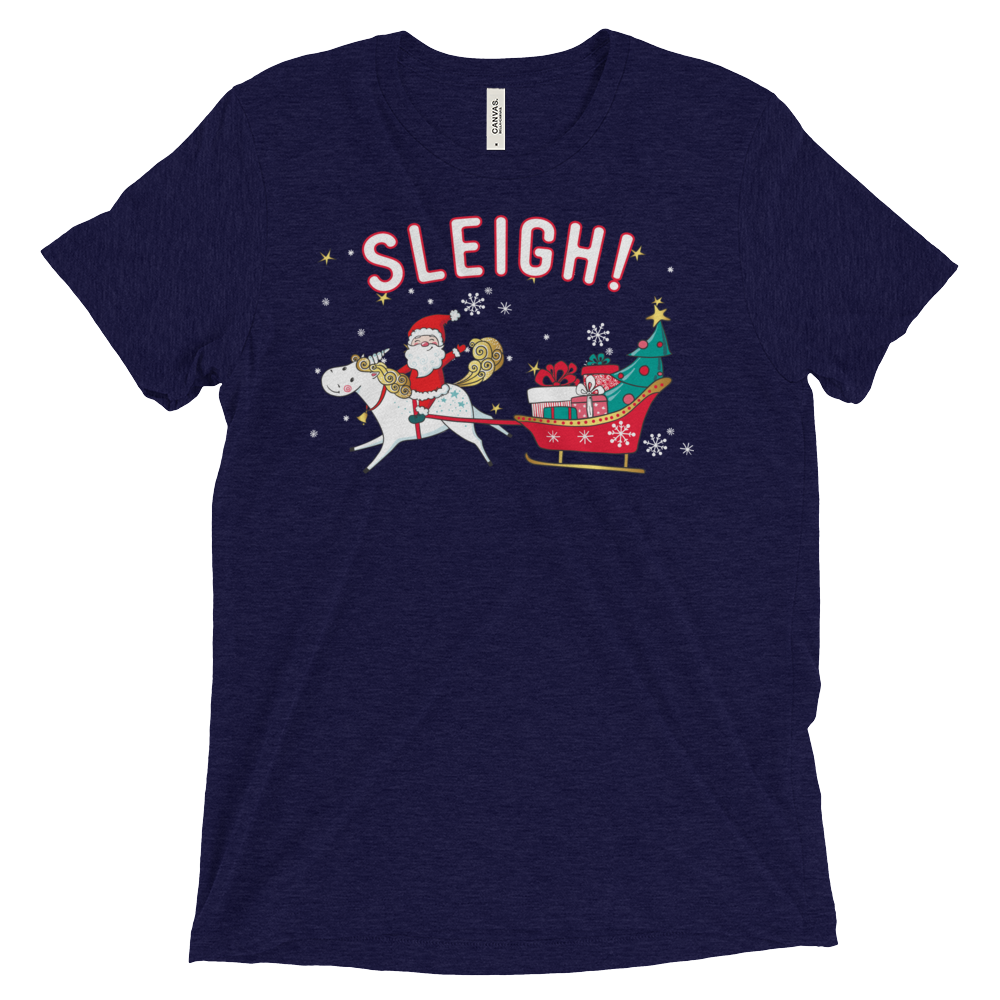 Sleigh! (Triblend)-Triblend T-Shirt-Swish Embassy