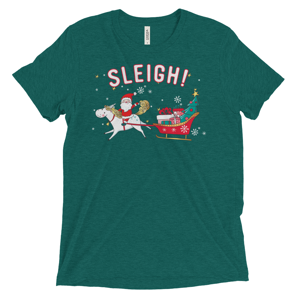 Sleigh! (Triblend)-Triblend T-Shirt-Swish Embassy