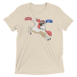 So Fancy (Triblend)-Triblend T-Shirt-Swish Embassy