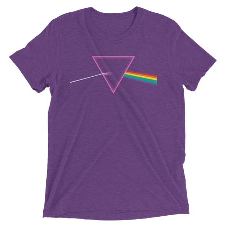 The Pride Prism (Triblend)-Triblend T-Shirt-Swish Embassy