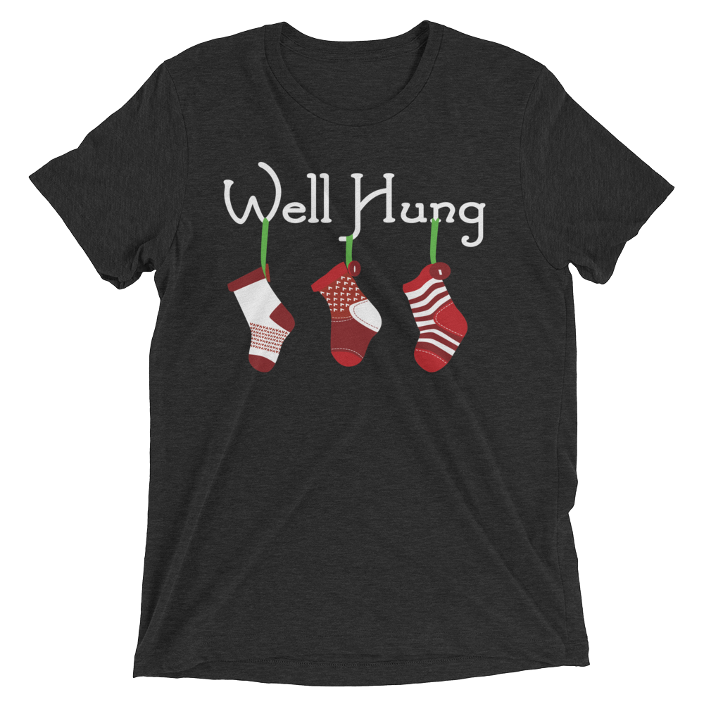 Well Hung Stockings (Triblend)-Triblend T-Shirt-Swish Embassy