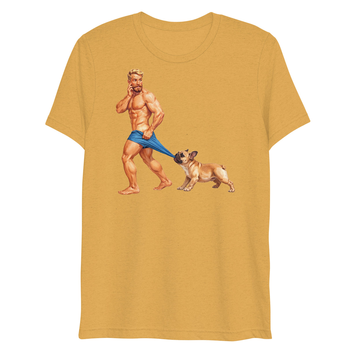 Pardon my Frenchie (Triblend)-Triblend T-Shirt-Swish Embassy