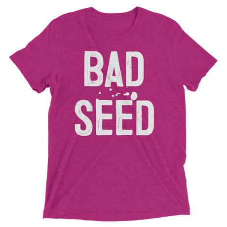 Bad Seed (Retail Triblend)-Triblend T-Shirt-Swish Embassy