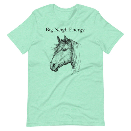 Big Neigh Energy-T-Shirts-Swish Embassy