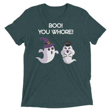 Boo! You Whore! (Retail Triblend)-Triblend T-Shirt-Swish Embassy