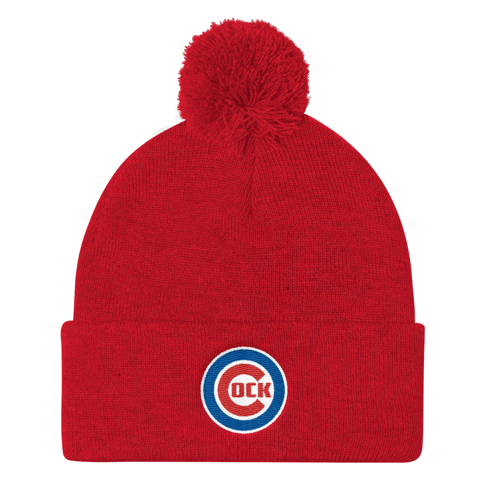 Chicago (Beanie)-Beanie-Swish Embassy