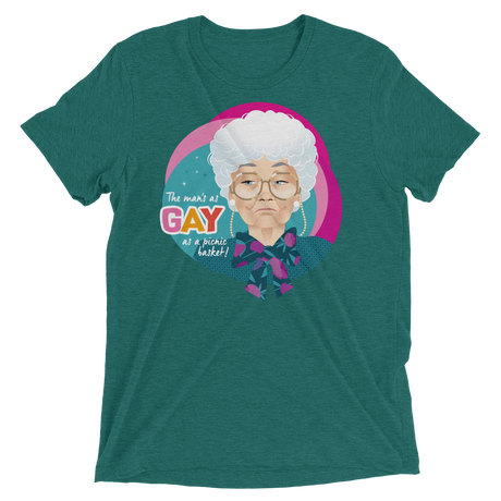 Gay as a Picnic Basket-Triblend T-Shirt-Swish Embassy