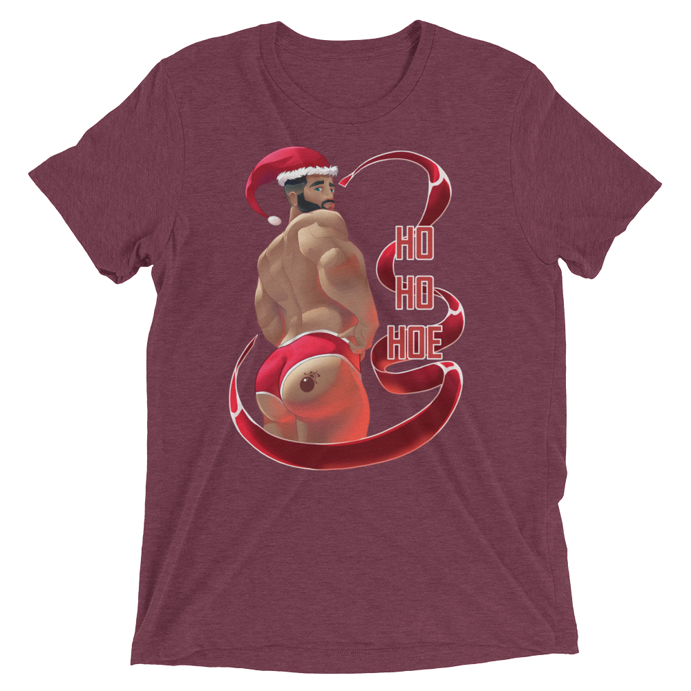 Ho Ho Hoe (Retail Triblend)-Triblend T-Shirt-Swish Embassy