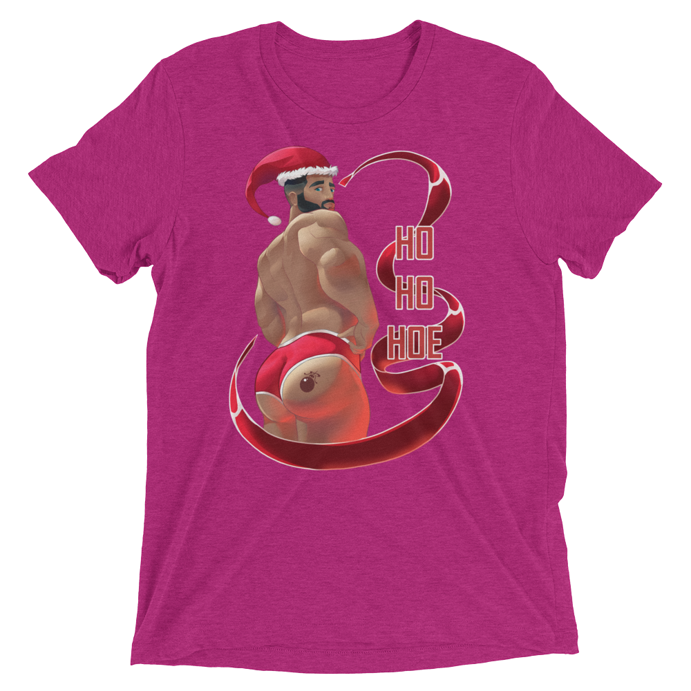 Ho Ho Hoe (Retail Triblend)-Triblend T-Shirt-Swish Embassy