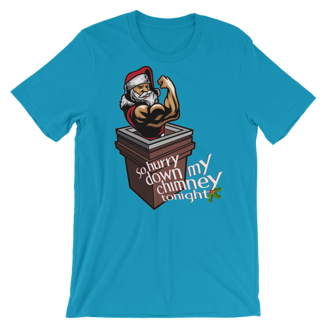 Hurry Down the Chimney-Christmas T-Shirts-Swish Embassy