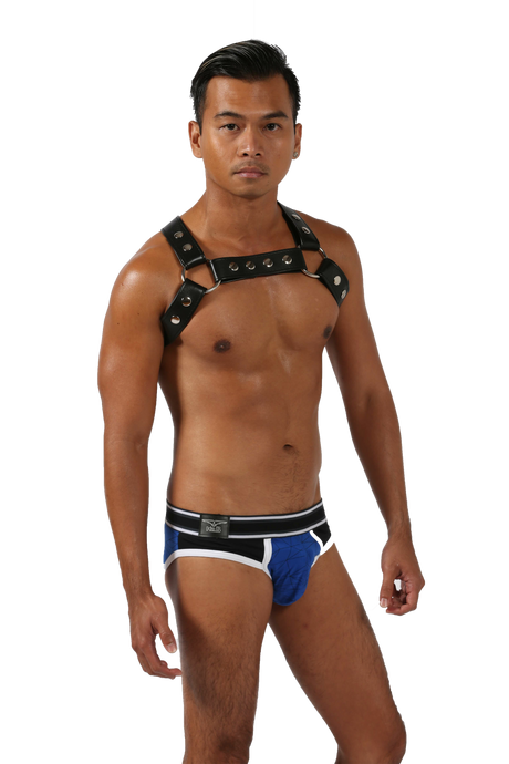 Manchester (Harness)-Leather-Swish Embassy