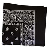 Paisley Hanky Code Bandana-Swish Embassy