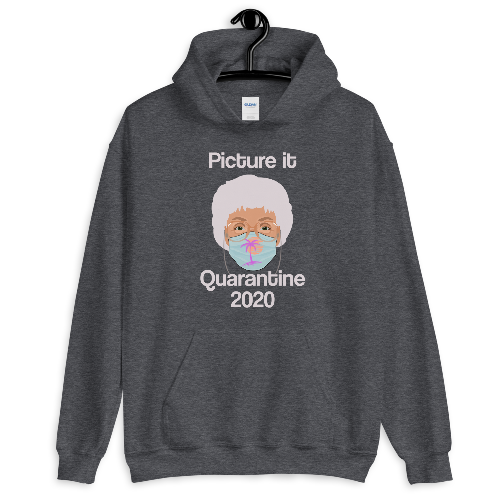 Picture It Quarantine 2020 (Hoodie)-Hoodie-Swish Embassy