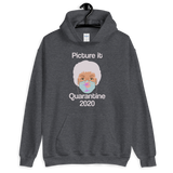 Picture It Quarantine 2020 (Hoodie)-Hoodie-Swish Embassy