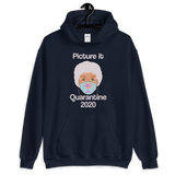 Picture It Quarantine 2020 (Hoodie)-Hoodie-Swish Embassy