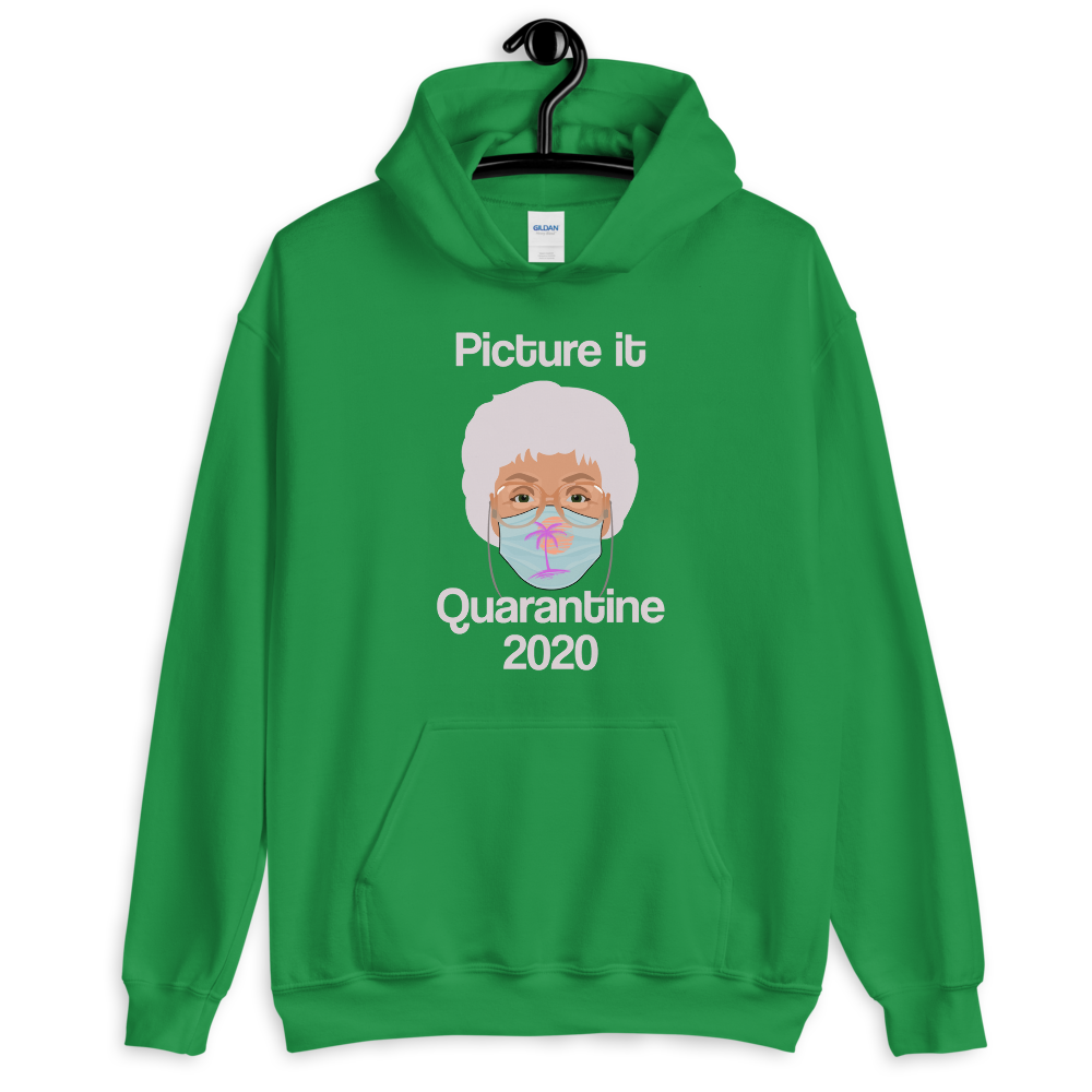 Picture It Quarantine 2020 (Hoodie)-Hoodie-Swish Embassy