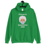 Picture It Quarantine 2020 (Hoodie)-Hoodie-Swish Embassy