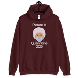 Picture It Quarantine 2020 (Hoodie)-Hoodie-Swish Embassy