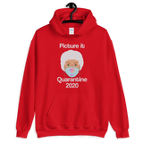 Picture It Quarantine 2020 (Hoodie)-Hoodie-Swish Embassy