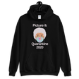 Picture It Quarantine 2020 (Hoodie)-Hoodie-Swish Embassy