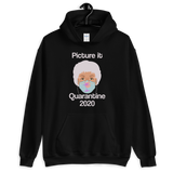 Picture It Quarantine 2020 (Hoodie)-Hoodie-Swish Embassy