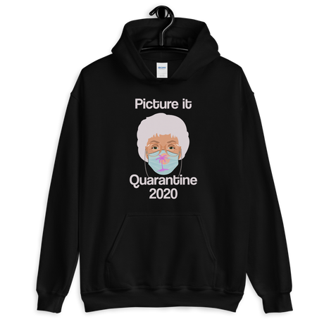 Picture It Quarantine 2020 (Hoodie)-Hoodie-Swish Embassy