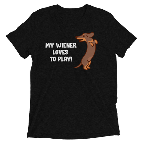 Playful Wiener (Retail Triblend)-Triblend T-Shirt-Swish Embassy